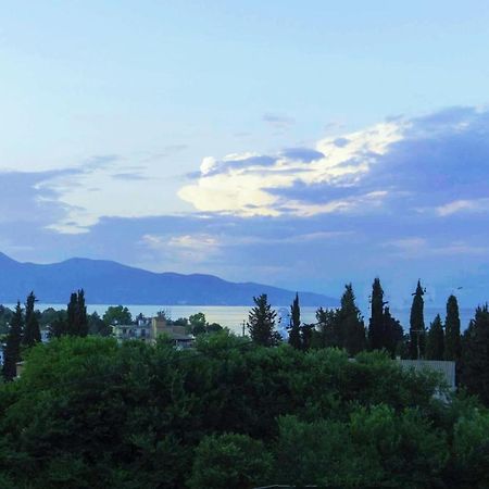 Sunshine Home 2 With Sea View Corfu  Eksteriør bilde